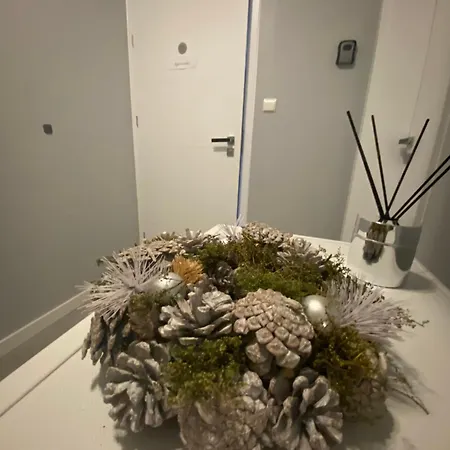 民宿 Silver Sky 格但斯克