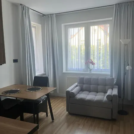 Silver Sky Проживание в семье *
